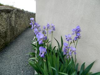 DSCN1487.jpg