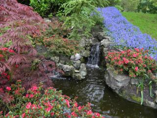 DSCN0560.JPG