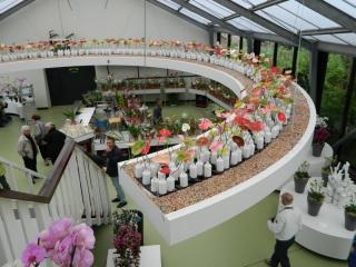 DSCN0510.JPG