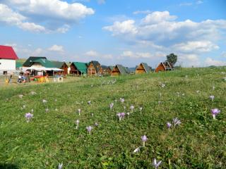DSCN0927.jpg