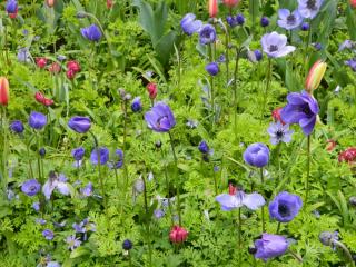 DSCN0470.JPG