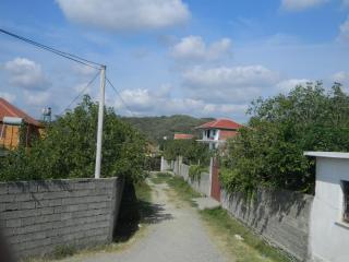 DSCN1592.JPG