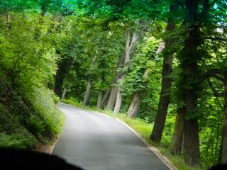 DSCN1452.JPG
