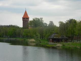 DSCN9623.JPG