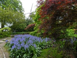 DSCN0487.jpg
