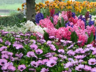 DSCN0455.JPG