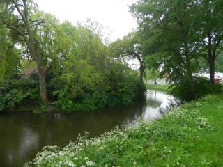 DSCN0259.JPG