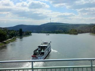 DSCN1445.jpg