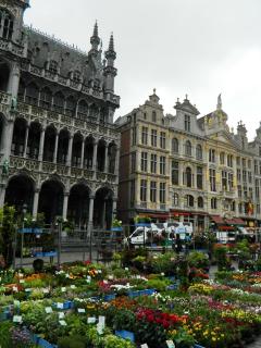 DSCN1056.jpg