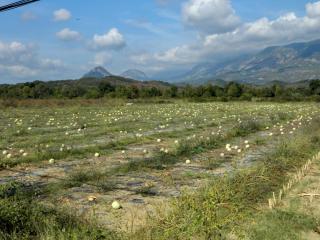 DSCN1586.jpg