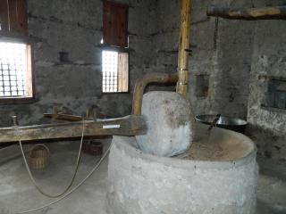 DSCN1691.JPG