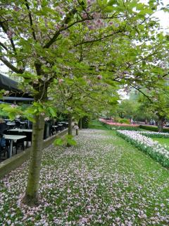 DSCN0516.jpg