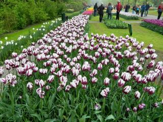 DSCN0523.jpg