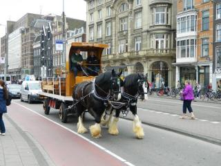 DSCN0037.JPG