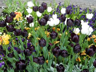 DSCN0139.JPG
