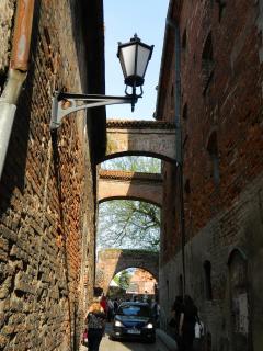 DSCN9490.jpg