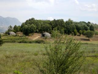 DSCN1664.jpg