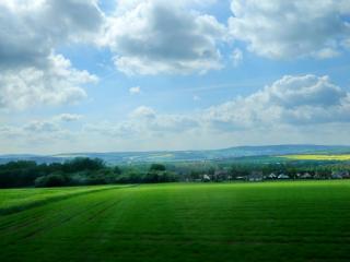 DSCN1615.jpg