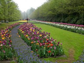 DSCN0520.jpg