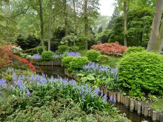 DSCN0495.jpg