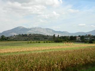 DSCN1647.jpg