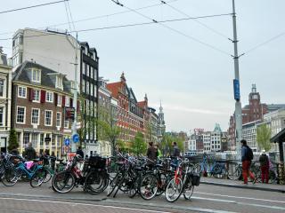 DSCN9990.jpg