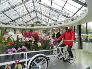 DSCN0503.JPG