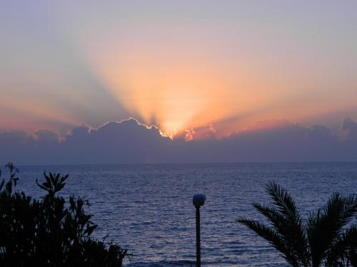 DSCN3314.jpg