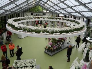 DSCN0511.JPG