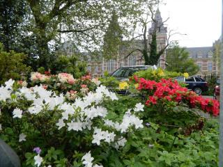 DSCN0052.JPG