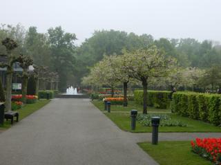 DSCN0421.JPG