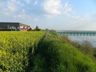 DSCN9586.JPG