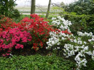 DSCN0489.JPG
