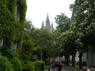 DSCN0617.JPG