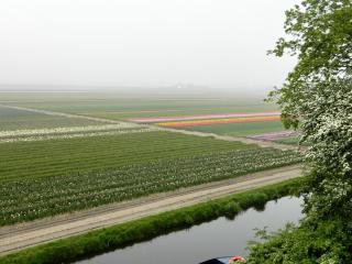 DSCN0476.jpg