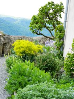DSCN1491.jpg