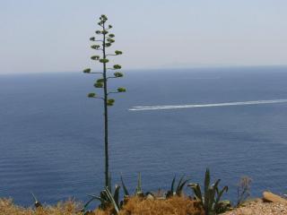 P1000657.JPG
