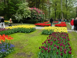 DSCN0542.jpg
