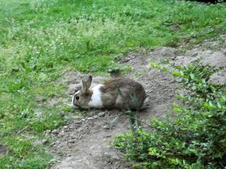 DSCN0136.jpg