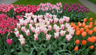 DSCN0420.jpg