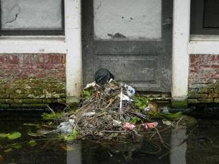 DSCN0601.JPG