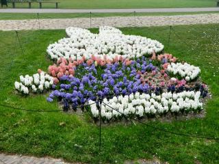 DSCN0449.jpg