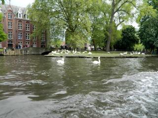 DSCN0986.jpg