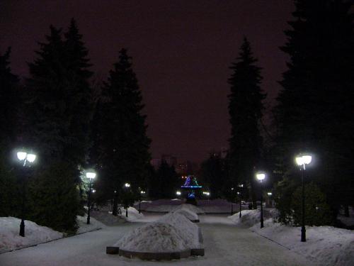 P1120419.jpg
