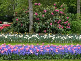 DSCN0536.jpg
