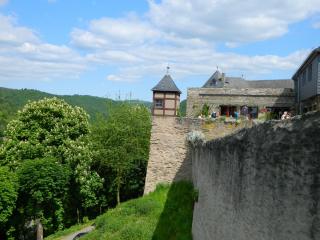 DSCN1466.JPG