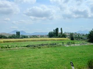 DSCN1645.jpg