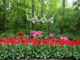 DSCN0571.JPG
