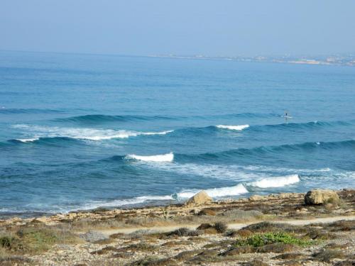 DSCN2666.jpg