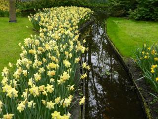 DSCN0532.JPG